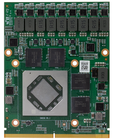 RX6600 MXM module 製品画像