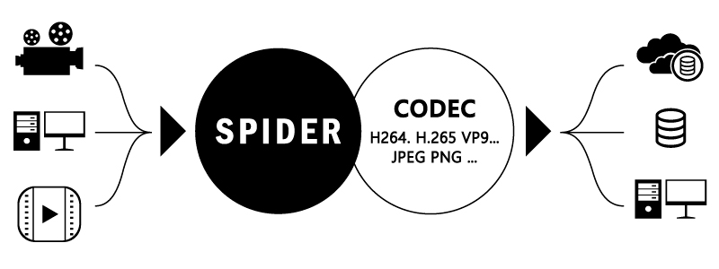 SPIDERフロー図