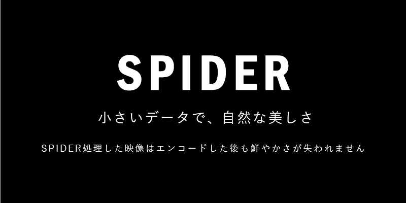 SPIDER