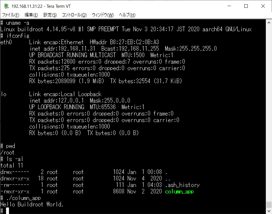 2020_2_Buildroot_RasPi