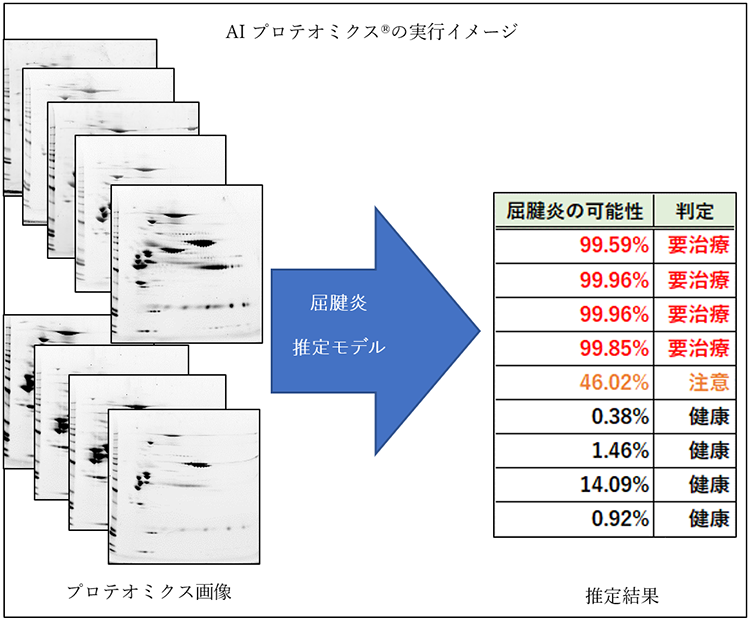 画像：「画像5」