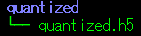 quantized